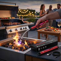 USB Rechargeable Electric Arc Lighter – Windproof Flexible Plasma Lighter for Candles, Diya, Gas Stove & Camping